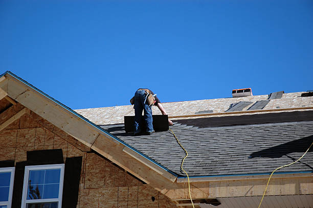 Best Roof Gutter Cleaning  in Eagle River, WI